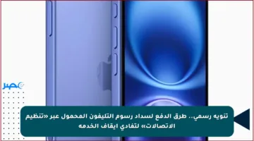 تنويه رسمي.. طرق الدفع لسداد رسوم التليفون المحمول عبر «تنظيم الاتصالات» لتفادي إيقاف الخدمة
